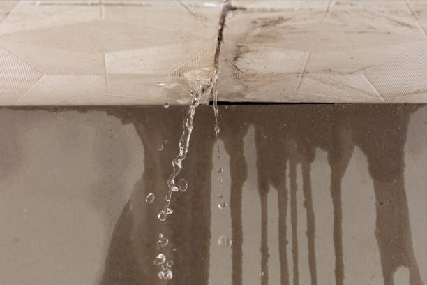Professional Structural Drying technician working in Muse, PA